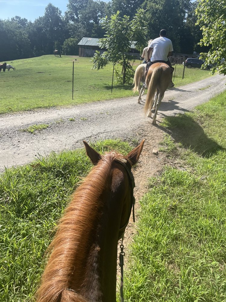 Vogt Riding Academy - equestrian in Atlanta, GA