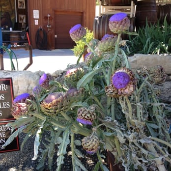 Oso Libre Winery - Artichoke - Wineries Near Me - Paso Robles, California