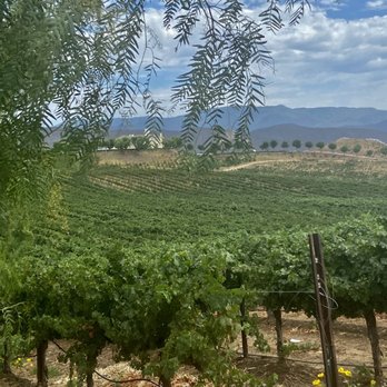 Leoness Cellars - Such a beautiful day to enjoy a glass of wine - Venues & Event Spaces Near Me - Temecula, California