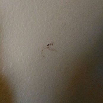 Great Wolf Lodge - Some kind of gung smeared on the wall by the master bed. - Resorts Near Me - Williamsburg, Virginia