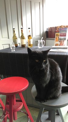 Caol Ila Distillery by null