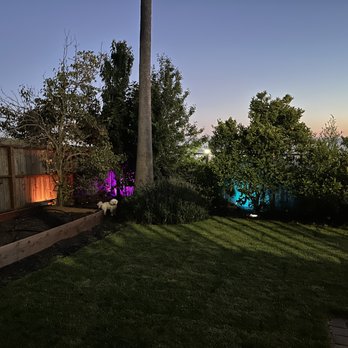 New Moon Landscape  - This is the low-voltage lighting. - Landscaping Near Me