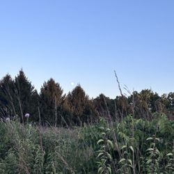 White River Greenway