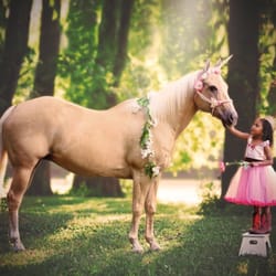 Riverside Stables
