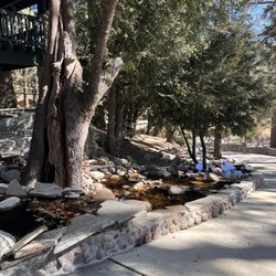 The Grand Idyllwild Lodge - The grounds of the lodge are beautiful!