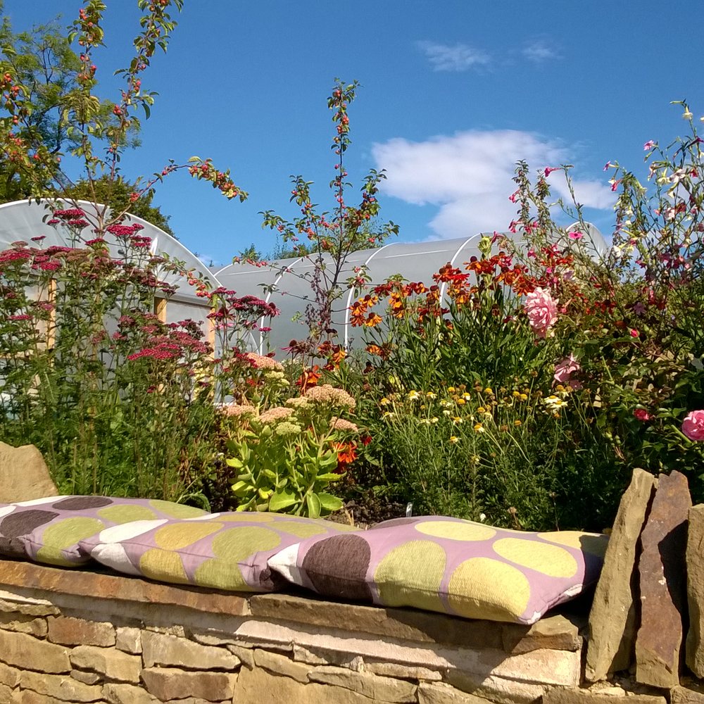 Mill Garden Centre Chesterfield Fasci Garden