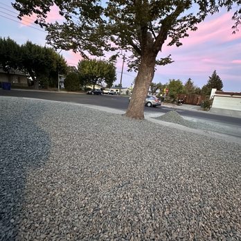 Martinez Landscape - View from front yard - Landscaping Near Me Martinez Landscape - View from front yard - Landscaping Near Me