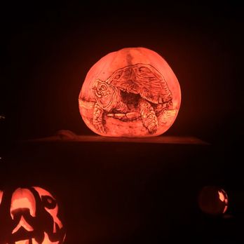 Jack-O-Lantern Spectacular - Festivals Near Me - Providence, Rhode Island