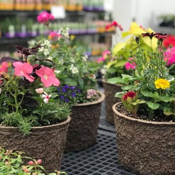 Cedar River Garden Center - Nurseries & Gardening Near Me - Palo, Iowa Cedar River Garden Center - Nurseries & Gardening Near Me - Palo, Iowa