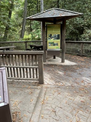 Montgomery Woods State Natural Reserve by null