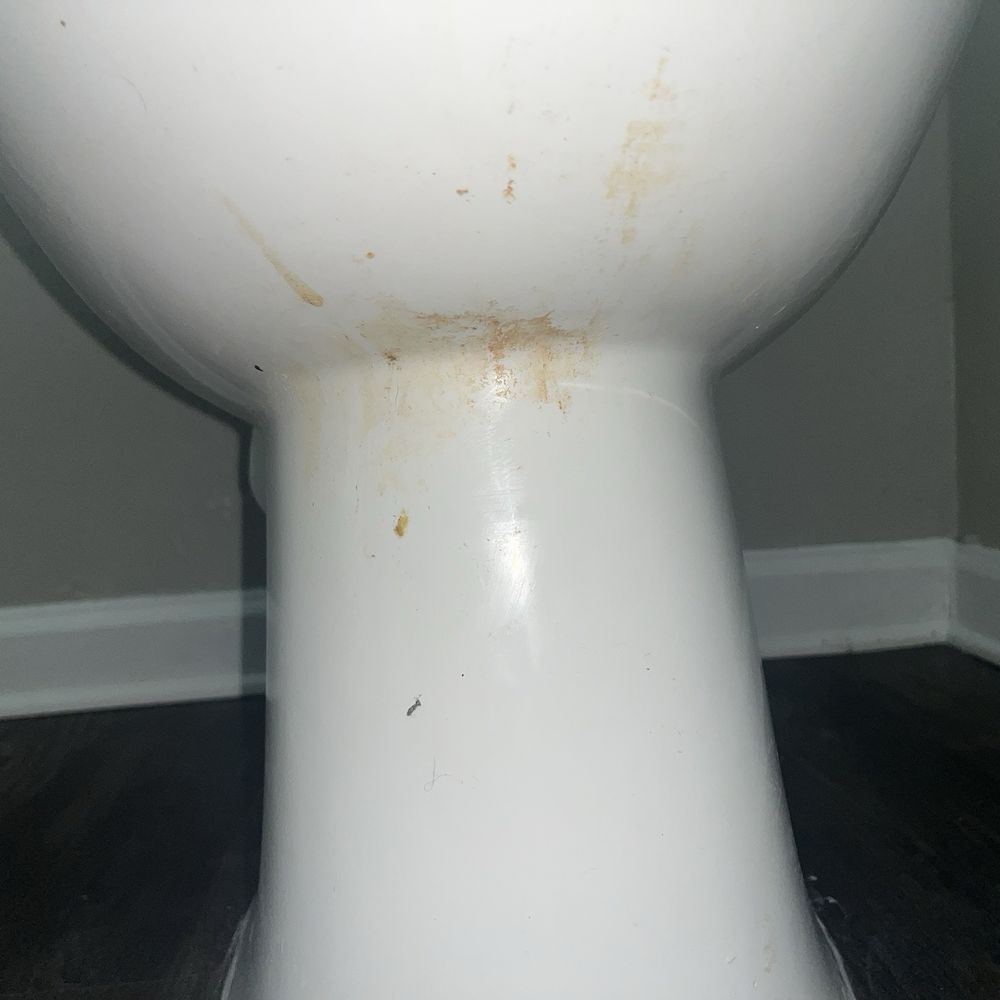 toilet