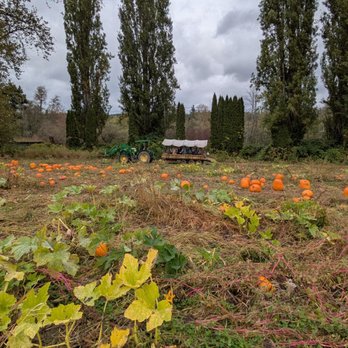 Fall City Farms - Venues & Event Spaces Near Me - Fall City, Washington Fall City Farms - Venues & Event Spaces Near Me - Fall City, Washington