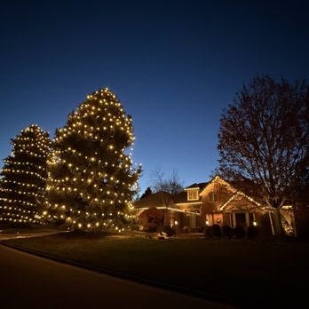 SJ Tree Designs - Holiday Lighting Project!! :-) - Tree Services Near Me - Littleton, Colorado SJ Tree Designs - Holiday Lighting Project!! :-) - Tree Services Near Me - Littleton, Colorado