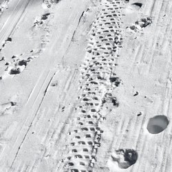 Divide Road Nordic Ski Trail - Fat-tier bike tracks!