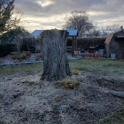 High Climbers Tree Care - after
