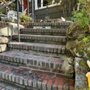 All Seasons Landscaping & Hardscaping