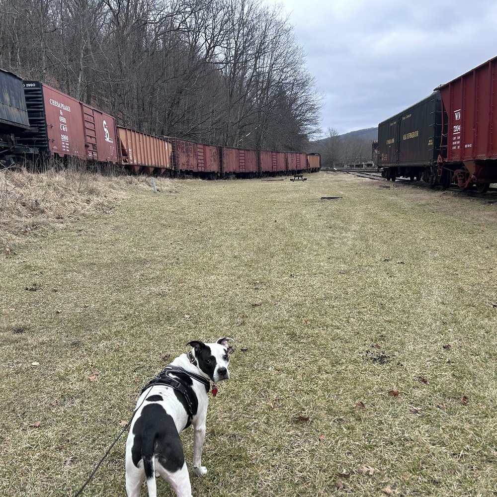 Cass Scenic Railroad - Trains, he says, really..? - Parks Near Me - Cass, West Virginia Cass Scenic Railroad - Trains, he says, really..? - Parks Near Me - Cass, West Virginia