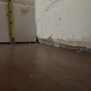 Royal Floors - Flooring Near Me - Houston, Texas Royal Floors - Flooring Near Me - Houston, Texas