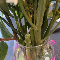Elements Florist - I feel awful that I received this for my birthday and a friend paid for this.