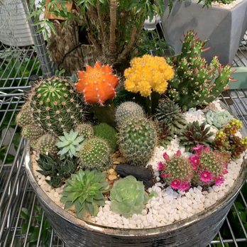 Moon Atelier - Florists Near Me - Los Angeles, California Moon Atelier - Florists Near Me - Los Angeles, California