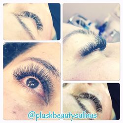 Volume Lashes