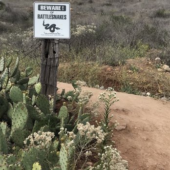 Steep Canyon Trailhead - Thankfully....no snake seen on our trip. - Hiking Near Me - Diamond Bar, California