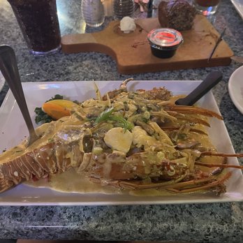 Lazy Lobster - Lobster Thurmador - Seafood Near Me - Longboat Key, Florida Lazy Lobster - Lobster Thurmador - Seafood Near Me - Longboat Key, Florida