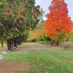 Elora Gorge Conservation Area