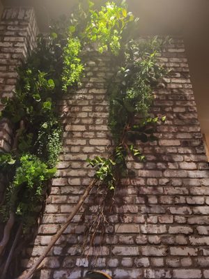 City Cellar Wine Bar & Grill by null