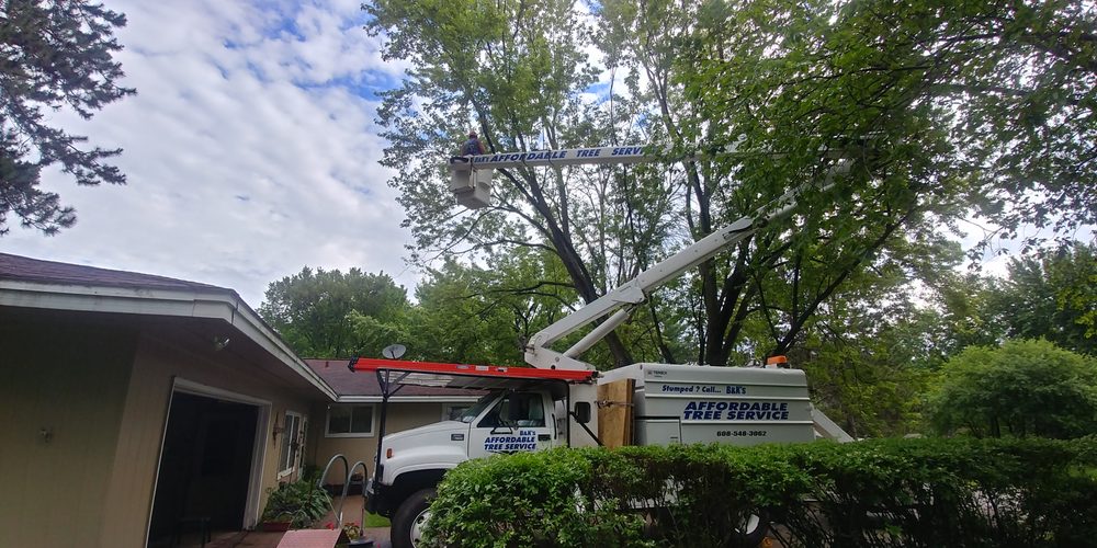 B&K’S AFFORDABLE TREE SERVICE Updated May 2024 N711 LaValle Rd