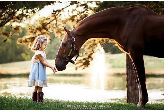 Success in Saddles - equestrian in Kernersville, NC