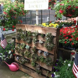 Pallet full of hens and chicks also for sale