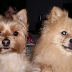 Cedar Grove Veterinary Clinic - My pups