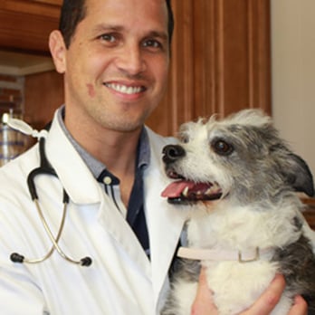 Aycock Veterinary Clinic - Veterinarians Near Me - Davie, Florida Aycock Veterinary Clinic - Veterinarians Near Me - Davie, Florida