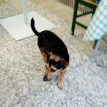 Tuscania - Rocco - Italian Near Me - Rota, California