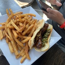 Seattle Dog