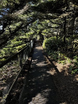 Cape Meares Lighthouse by null