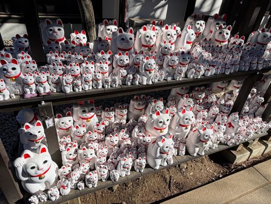 Gōtokuji Temple by null