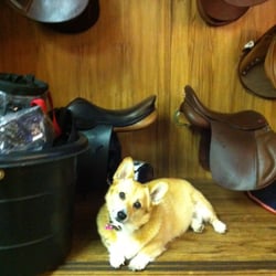 The Tack Box