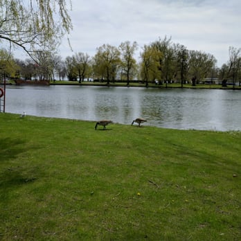 Toronto Island - Canadian geese - Parks Near Me - Toronto, Ontario