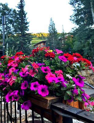 Vendettas Restaurant by null