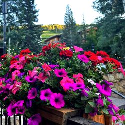 Vendetta's Restaurant - View from the patio