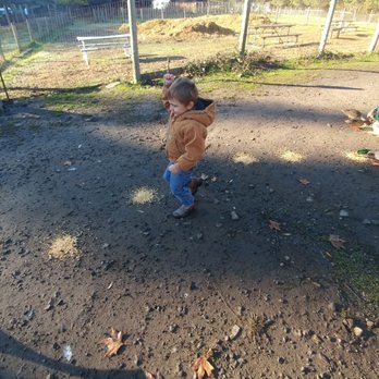 Connolly Ranch - Feeding the ducks! - Day Camps Near Me - Napa, California Connolly Ranch - Feeding the ducks! - Day Camps Near Me - Napa, California