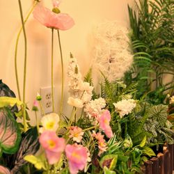 Dandelion Beauty Spa