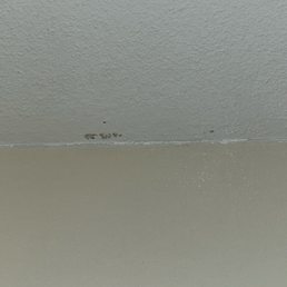Bathroom mold