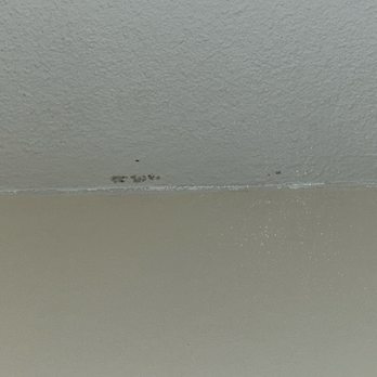 Solara Inn and Suites - Bathroom mold - Hotels Near Me - Anaheim, California