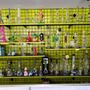 Photo of Area 51 Tobacco & Novelties - Buckroe