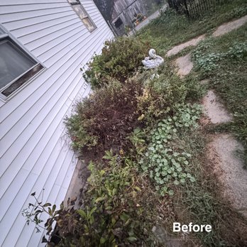 Lozano Landscaping Innovations - Landscaping Near Me Lozano Landscaping Innovations - Landscaping Near Me