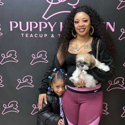 Puppy Heaven - Teacup & Toy Puppies for Sale