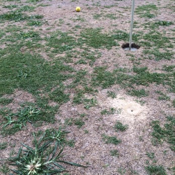 Meadowbrook Golf Club - Greens - Golf Near Me - Gainesville, Florida